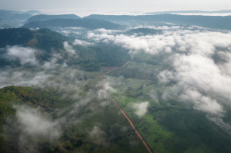 An environmentally protected area near Sao Felix do Xingu, Para state, Brazil.
