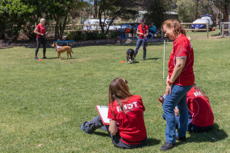 Fiona Cowie training other dog trainers for the Institute of Modern Dog Training, Perth. 