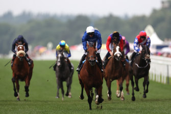 Home Affairs (far left) was beaten early in the Platinum Jubilee Stakes won by Naval Crown.