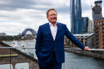 Andrew Forrest, one of the country’s most prominent businessman, is taking on a social media giant.