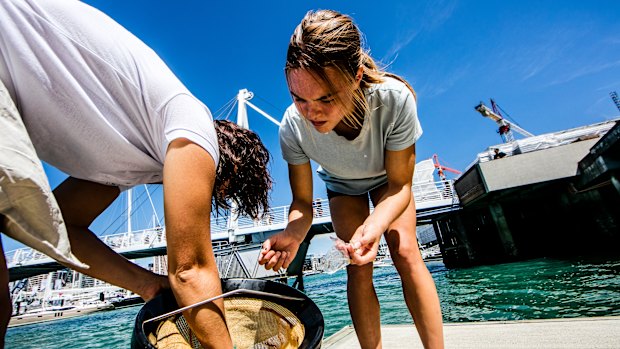 Seabin's technology filters water to collect marine litter.  