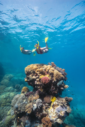 Climate change could make activities such as snorkelling or diving at the Great Barrier Reef less enjoyable.