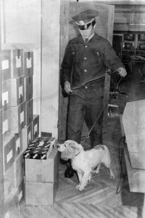 A Soviet militiaman with sniffer dog searches the offices of Australian Associated Press in Moscow “for drugs or explosives” on July 14, 1980