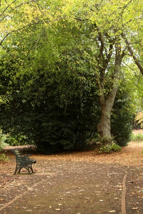 Camperdown Botanic Gardens.