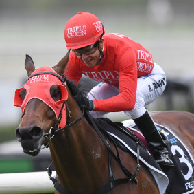 Red zone: Redzel begins the hunt for a third Everest in the Concorde Stakes at Randwick on Saturday