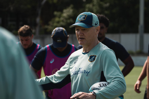 Joe Schmidt will leave his role after the Rugby Championship.