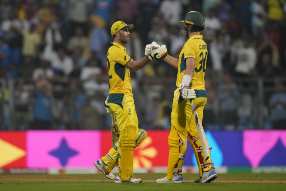 Glenn Maxwell and Pat Cummins had an unbeaten partnership of 202 against Afghanistan in the World Cup.
