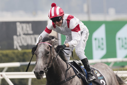 Classique Legend wins the TAB Everest   on Saturday.
