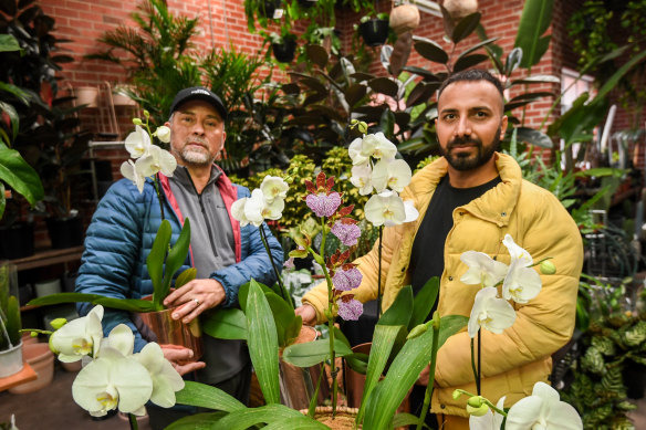 Botanicah Melbourne’s Harris Mashood (left) and Marco Pereira are preparing for an orchid rush.