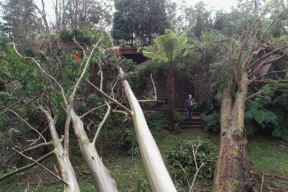 Trees did extensive damage to John Carlyle’s home in Kalorama during the storm. 