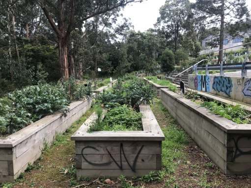The graffiti-strewn and weed-filled garden in 2021.