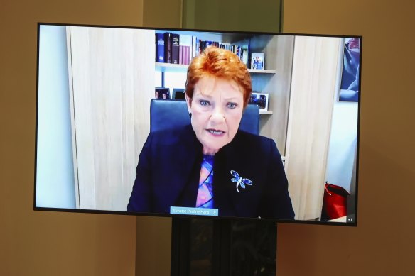 Senator Pauline Hanson, who is attending Parliament via video link,  abstained from a vote to derail a government-backed inquiry into the ABC and SBS’s complaints processes. 