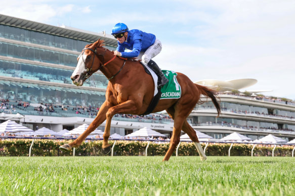 Cascadian was brilliant, winning the Australian Cup on Saturday.