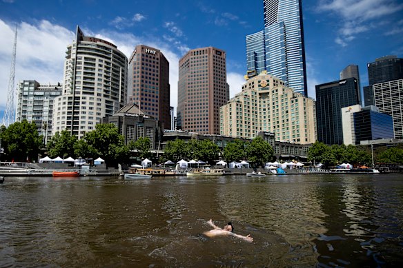 Visitor Chris enjoys a quick dip in the Yarra River. Officially, bylaws prohibit people swimming in the CBD section.
