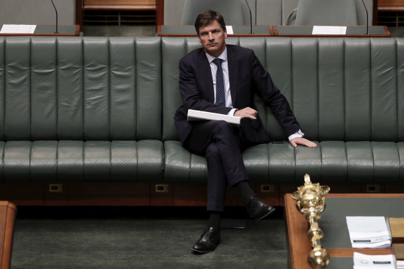 Energy Minister Angus Taylor, who the Greens and Labor are trying to establish an inquiry in to.