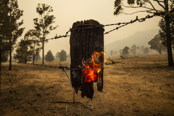 Destruction from the Currowan fire on Tallowa Dam Road in Kangaroo Valley.