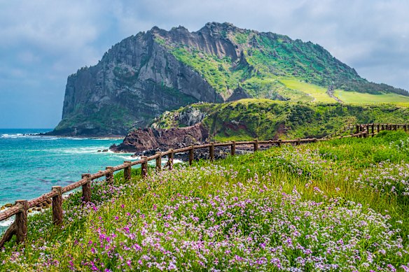 Jeju Island, South Korea.