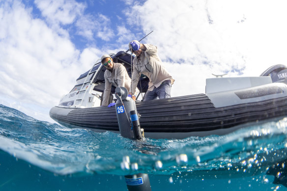 Scientists travelled to WA’s Abrolhos Islands in September to collect water samples to sift for DNA.