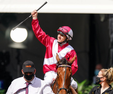 The King of the West has a huge cult following wit punters on the Australian east coast.