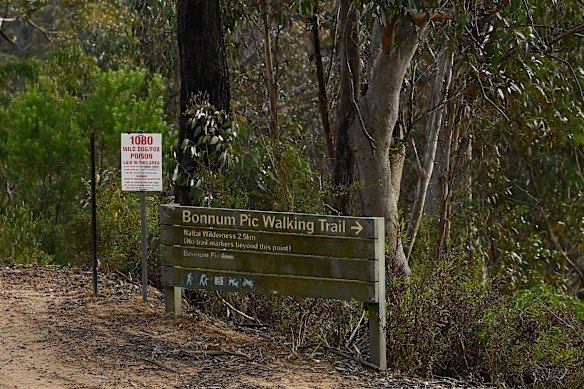 Lily Hooper began her hike on the Bonnum Pic Walking Trail on August 12.