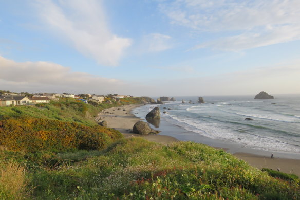 Wild west coast of the US, where the highway hugs the coast from Canada to Mexico.