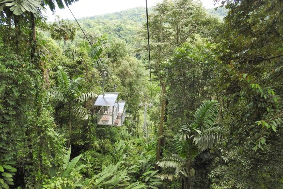 Journey through the treetops on a “Sky Gondola” with the Veragua Rainforest Eco-Adventure.