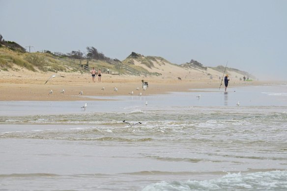 Seaspray Beach in Gippsland.