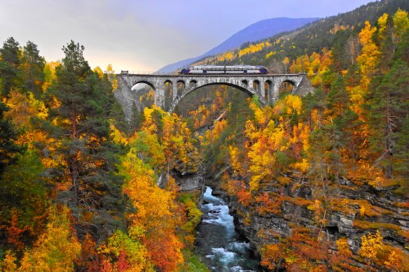 Ride through rugged country on the Rauma Railway.