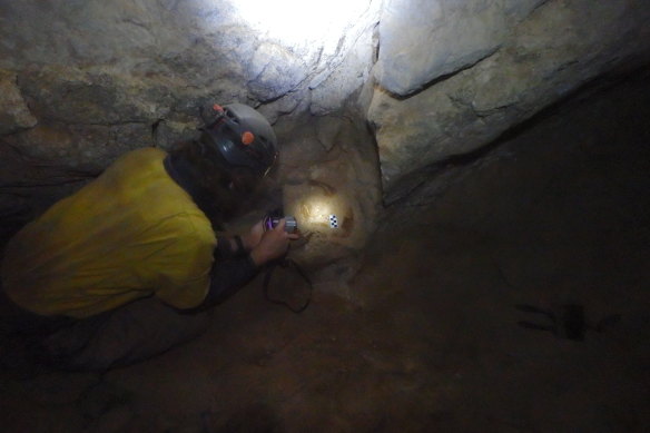 A researcher marks the site where the skull was located.