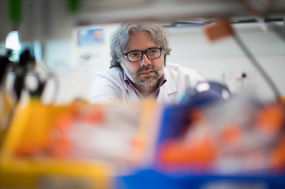 Professor Jose Polo  in his lab at Monash University on Wednesday.