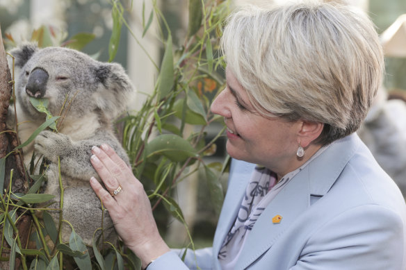 Tanya Plibersek’s scheme is intended to drive investment into habitat protection.