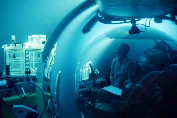 The gala screening of <i>A Life Illuminated</i> will include a panel with director Tasha Van Zandt and a performance by Dead Puppet Society puppeteers.