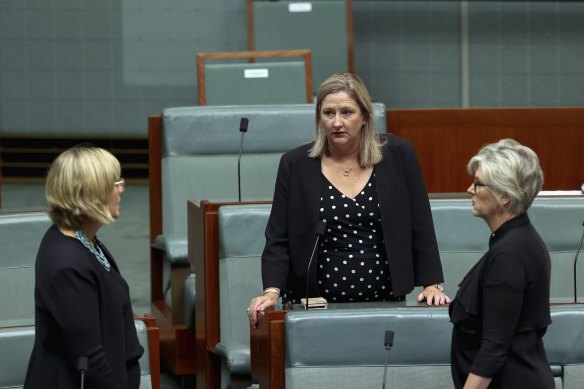 Fourth pillar: Independent Member for Mayo Rebekha Sharkie (centre), speaks with Ms Steggall (left), and Dr Haines in Parliament.