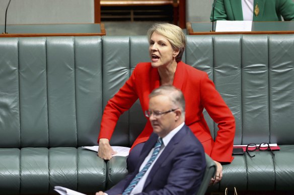 Shadow minister for women Tanya Plibersek reacts to Prime Minister Scott Morrison.