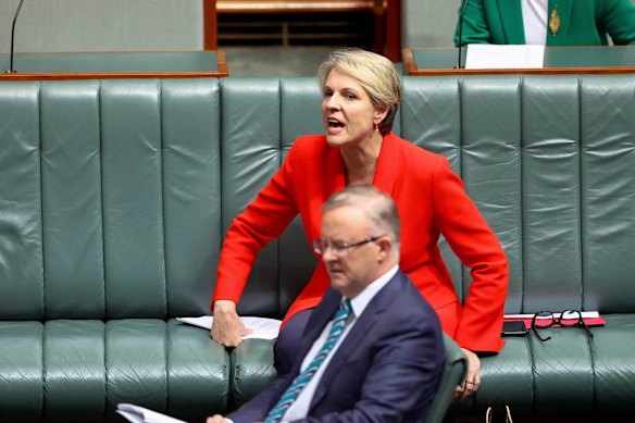 Shadow minister for women Tanya Plibersek reacts to Prime Minister Scott Morrison.