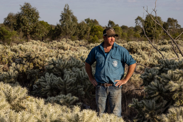 Jon Slack-Smith on his Hudson pear-infested property at Cumborah, south of Lightning Ridge.