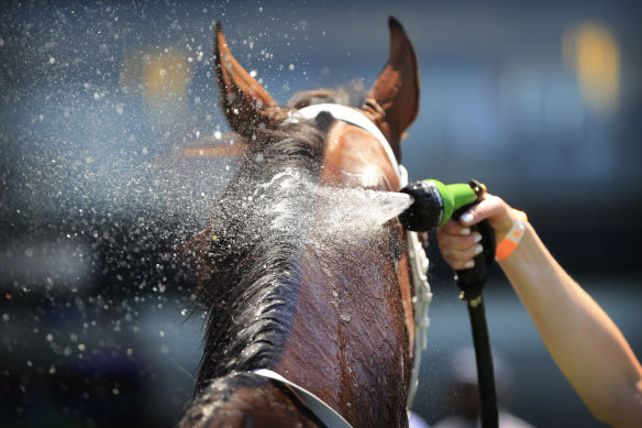 Racing returns toTaree on Tuesday, with an eight-race card.