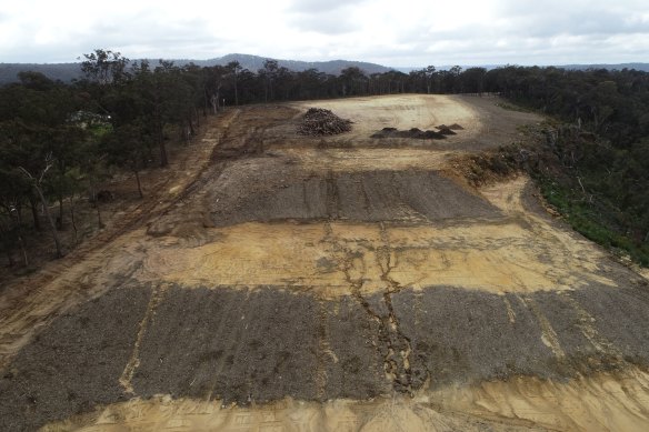 The cleared land at Canyonleigh.