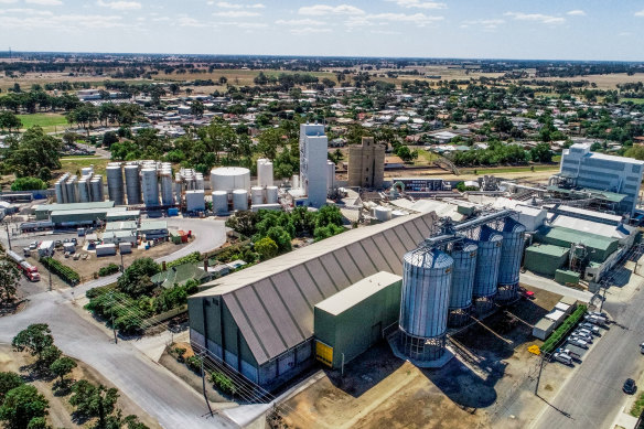Numurkah, with a population of less than 5000, is surrounded by Goulburn Valley farmland where canola is flourishing.