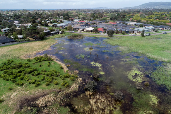 The expanding body of water at the Tootgarook Wetlands.