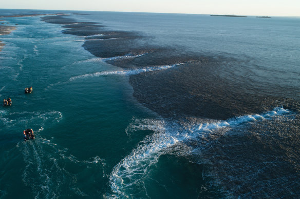 Montgomery Reef is 300-square kilometres.