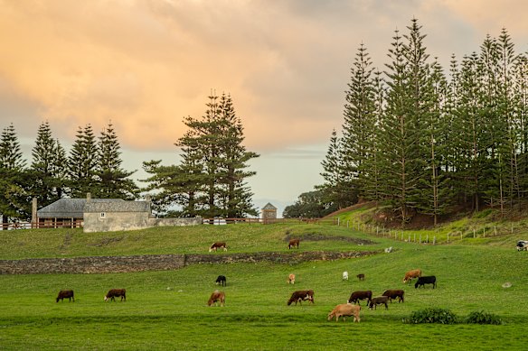 Green and calm: Norfolk Island.