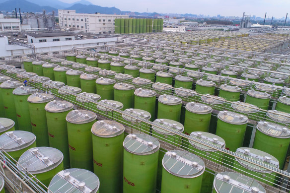 Tanks of soy sauce at Lee Kum Kee’s production facility in Xinhui, China. The tanks span 1.33 million square metres.