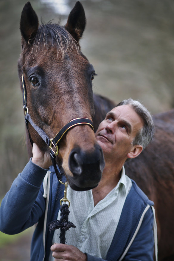 Animal rights campaigner Elio Celotto says the racing industry should ban the whip if it wants fewer horse deaths.