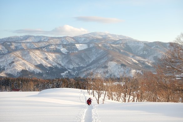 The sun is out but the snow is deep.