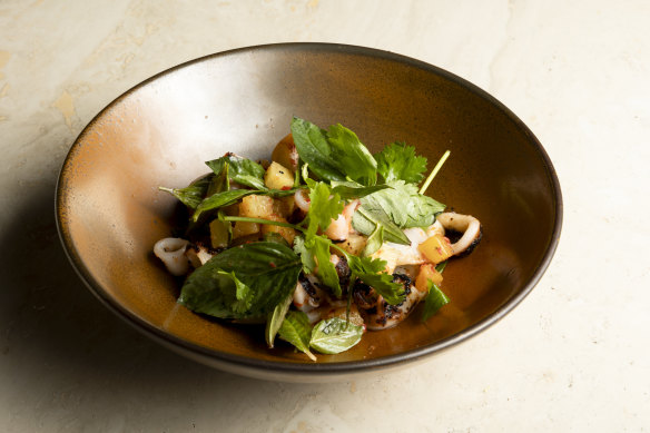Char-grilled calamari with fresh herb salad and nduja dressing.