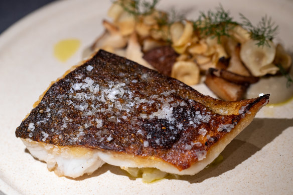 Murray cod is paired with lemony fennel and a tumble of crisp Jerusalem artichokes.
