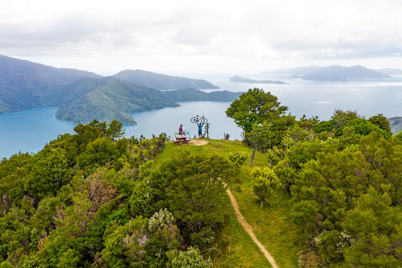 Mountain bikers on the Queen Charlotte Track in the Marlborough Sounds.