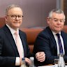 Albanese charges ‘Mr Fix-It’ with racing through green law overhaul