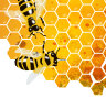 Capilano, supermarkets accused of selling fake honey